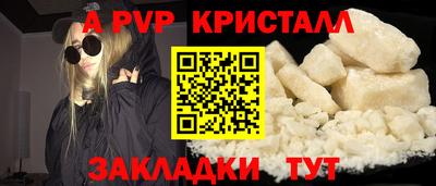 спиды Кингисепп