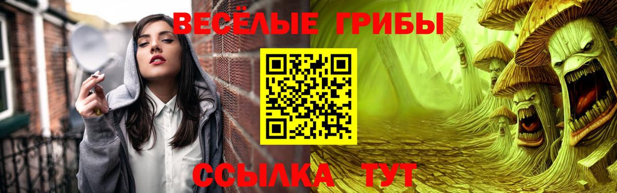 Галлюциногенные грибы MAGIC MUSHROOMS Краснознаменск