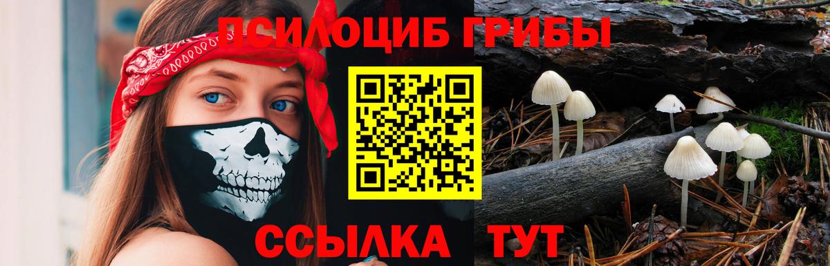 Краснознаменск  Псилоцибиновые грибы прущие грибы  цена   Вход с VPN 